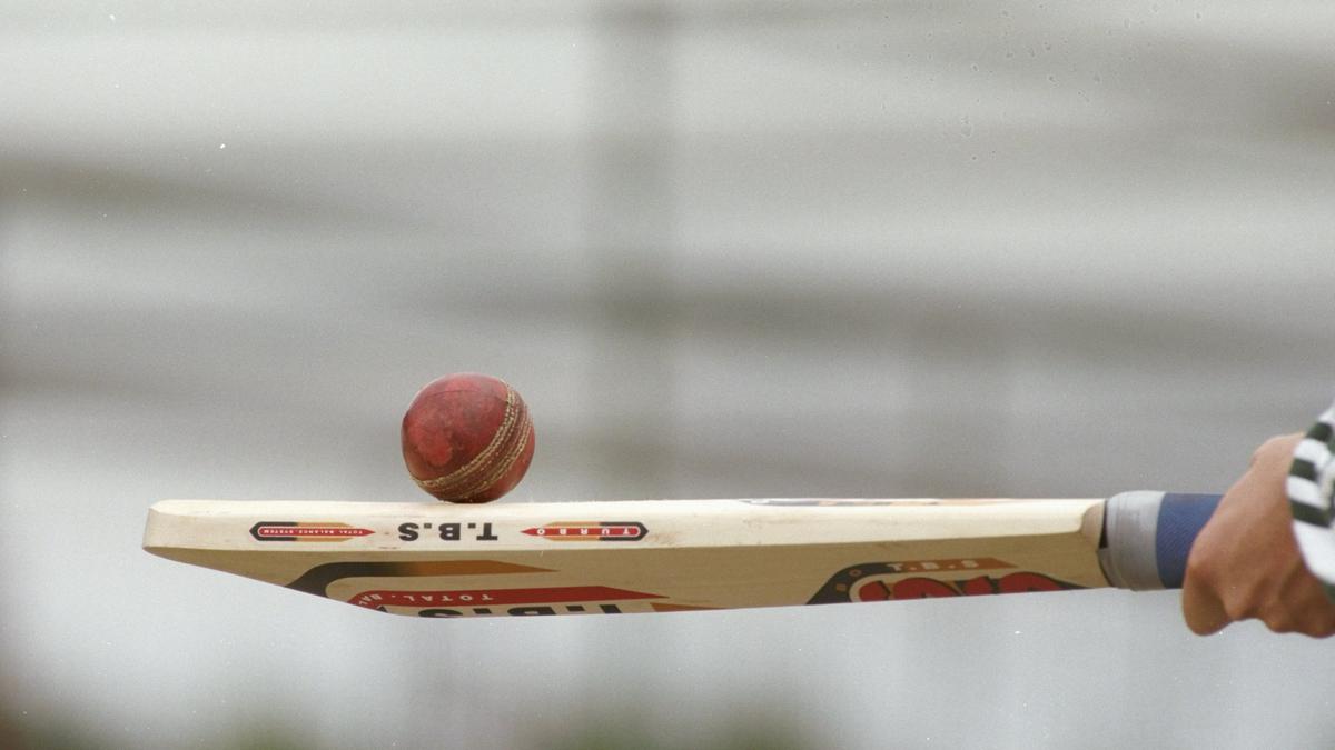 IPL 2022: Punjab Kings hires power-hitting coach Julian Ross Wood