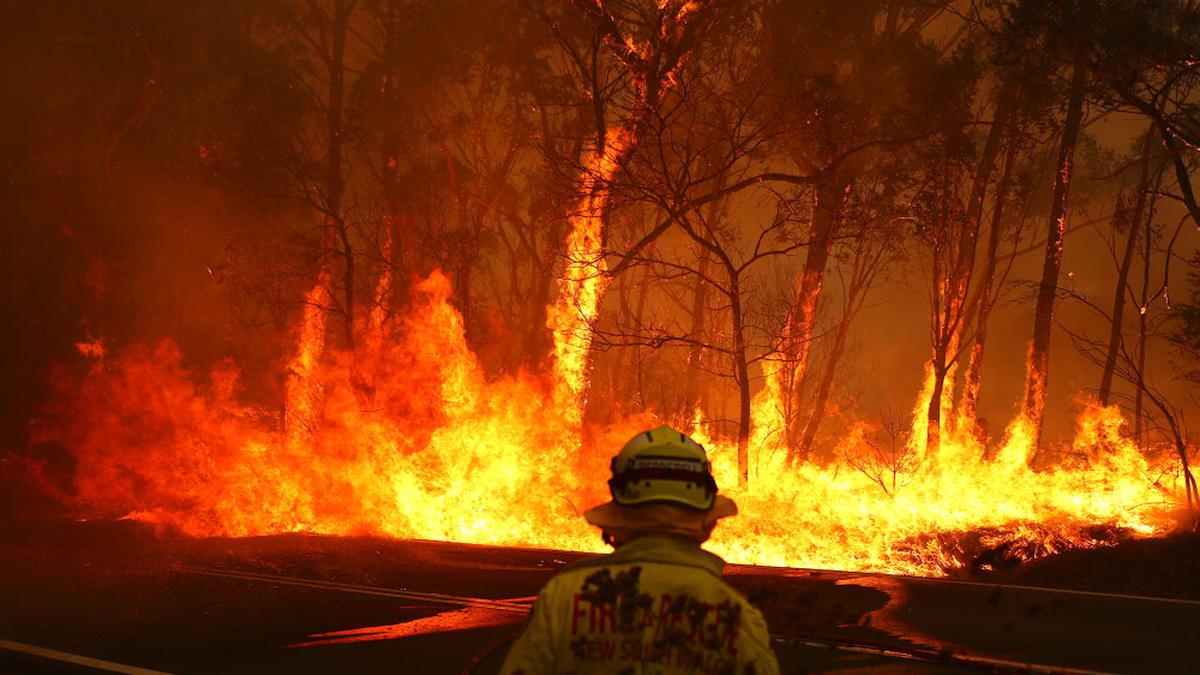 Australia Bushfires: Warne, Djokovic join fundraising efforts