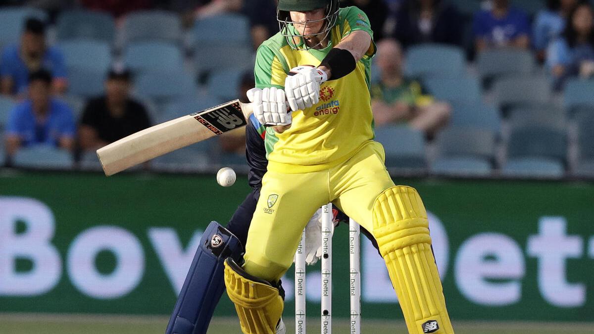 Australia confident of Steve Smith's recovery for World Cup and Ashes