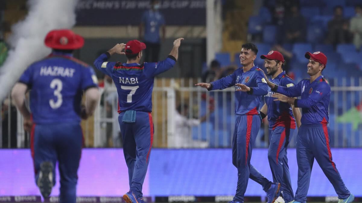 T20 World Cup: Mujeeb, Zadran star in Afghanistan's thumping win over Scotland