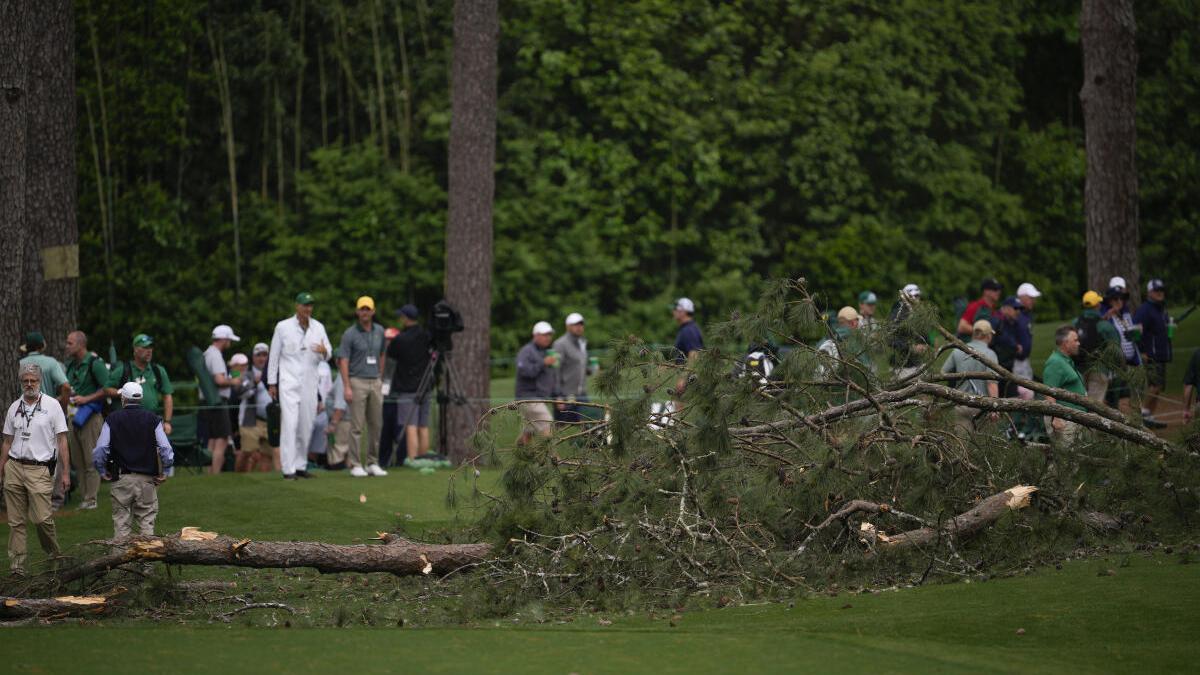 Followers escape with out harm after towering bushes fall at Masters