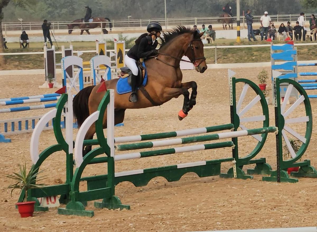 In Show Jumping Team (1m), while riding on Cuba, Hayden got four penalties in 1st round, and managed to clear the 2nd round and won the gold.