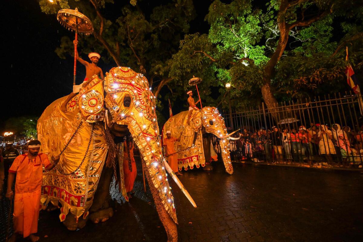 Festive mood: Decorated elephants walk past the historic Buddhist Temple of the Tooth during a procession celebrating the Esala Perahera festival in the ancient hill capital of Kandy.