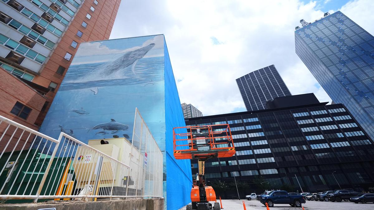 Un artiste poursuit la FIFA pour la destruction de la fresque murale des baleines de Dallas avant la Coupe du monde