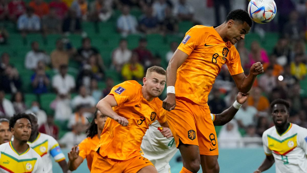 Senegal 0-2 Netherlands highlights, FIFA World Cup: Gakpo and Klassen score, Qatar 2022 WC updates