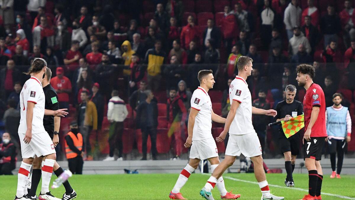 Albania Football Association detests fan violence, blames Polish for provoking