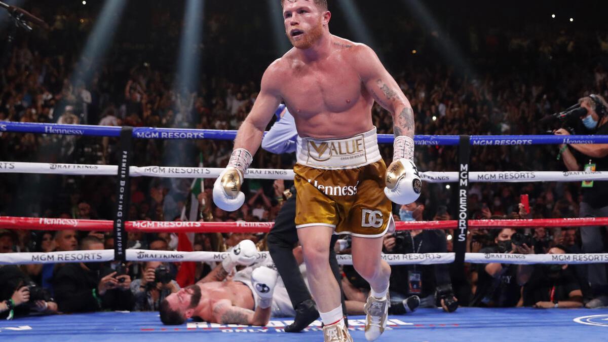 Alvarez stops Plant to become undisputed super middleweight champ