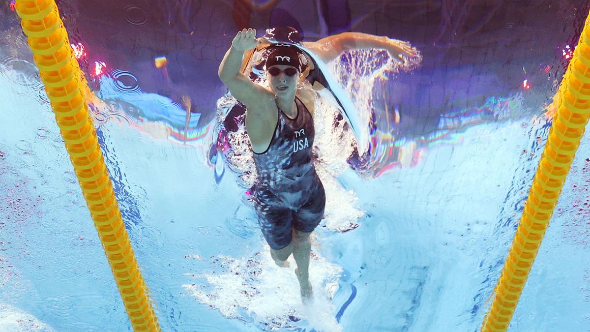 Does The Pointer Like To Swim