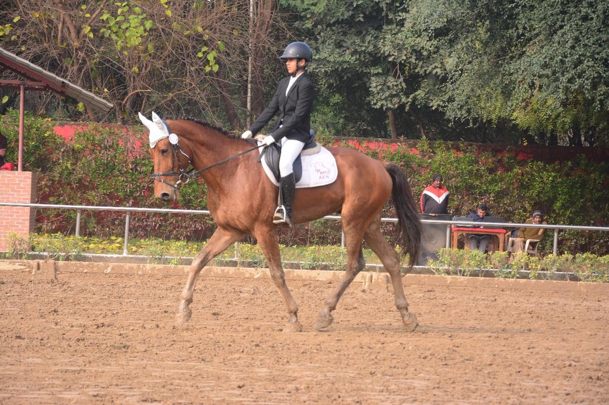 A competitor as seen during the dressage round on the final day.