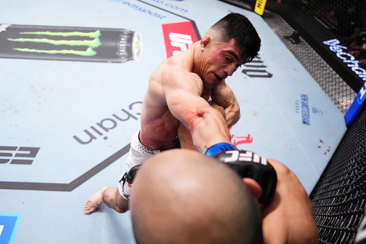 Terminando o ano com 3 a 0 e entrando no ranking dos penas, Vallejos passou de novato promissor a candidato legítimo. Terminando o ano com 3 a 0 e entrando no ranking dos penas, Vallejos passou de novato promissor a candidato legítimo.