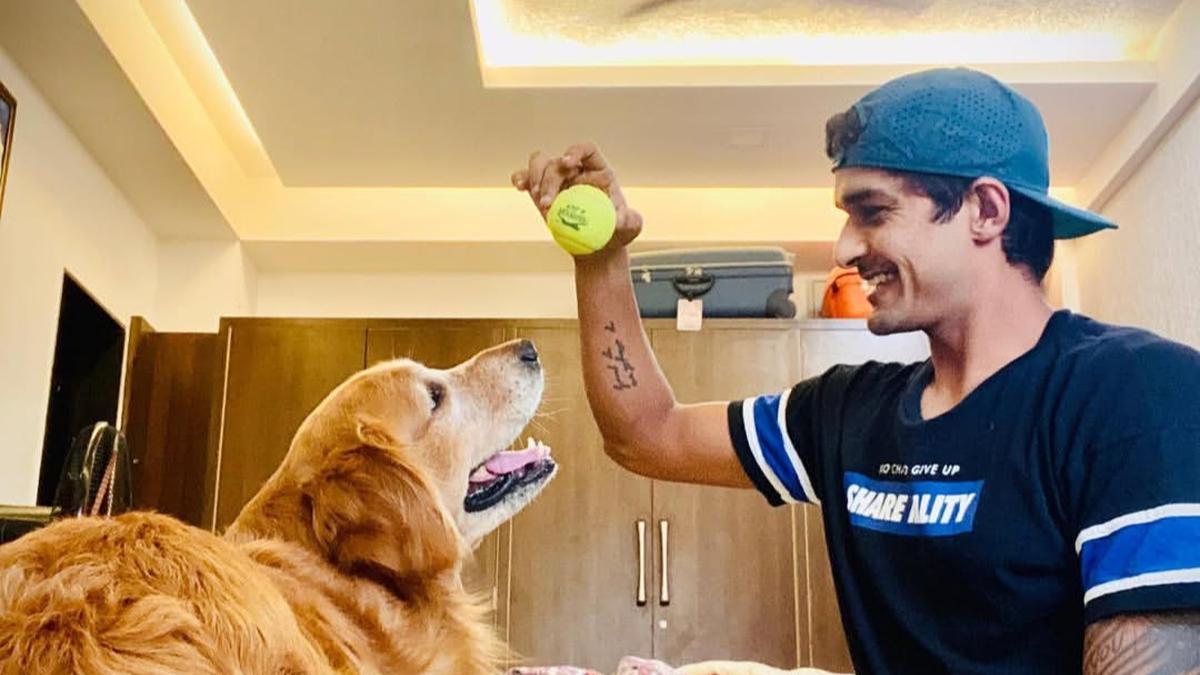 Ranji Trophy: Hooda dedicates knock of 248 to pet dog, which passed away due to illness