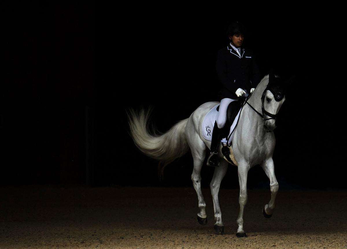 REPRESENTATIVE PHOTO: A horsewoman rides a Purebred Spanish horse.