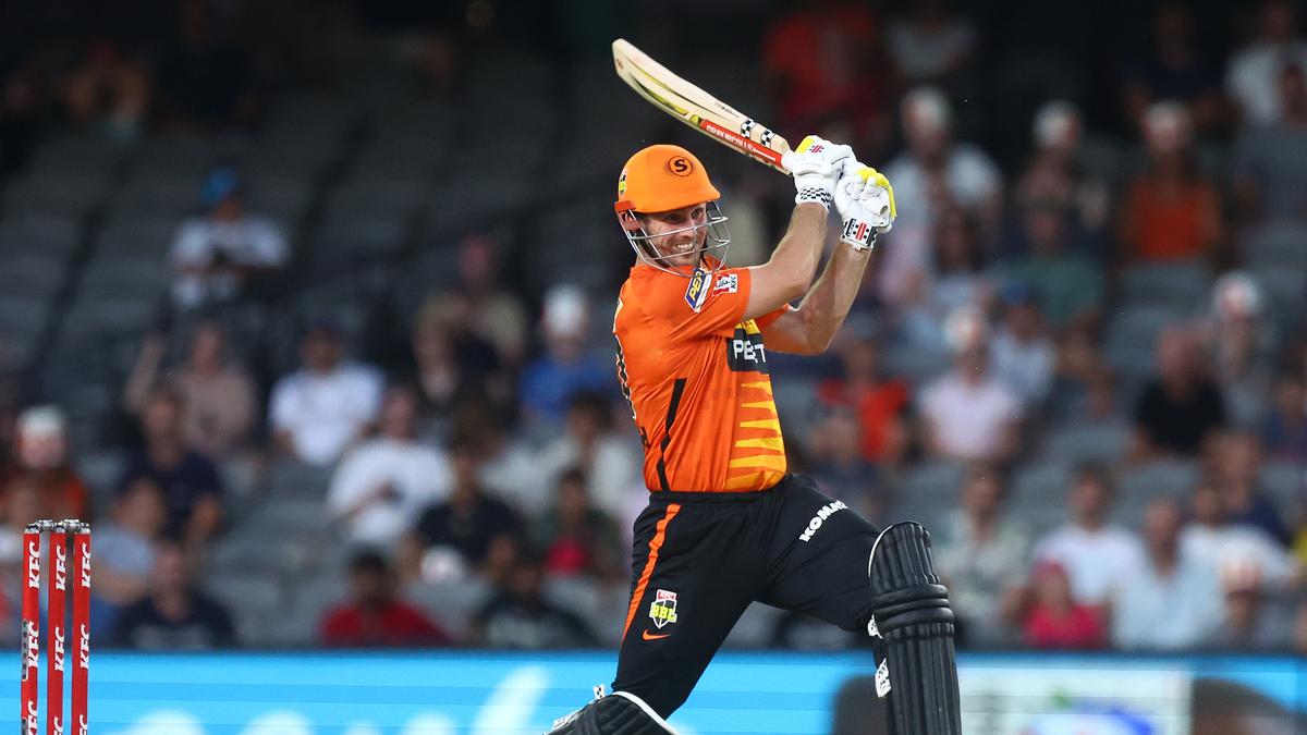 Australia’s Border-Gavaskar Trophy-winning team members set to feature in Big Bash League: Full list of players, details