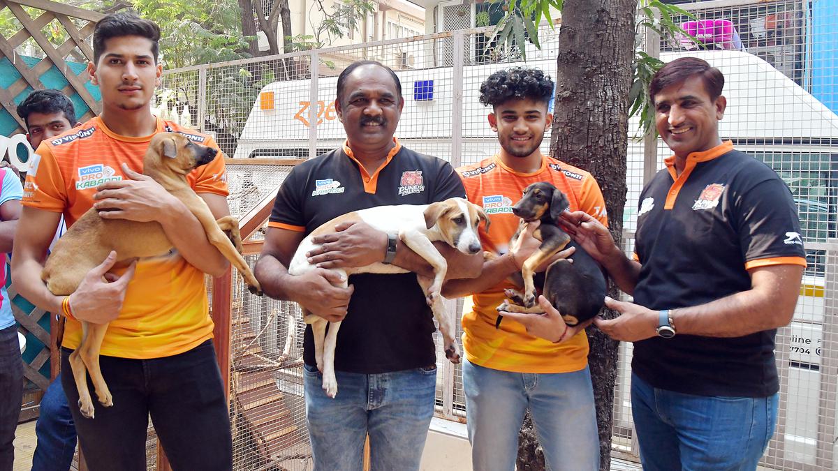 Pro Kabaddi League: Puneri Paltan coach BC Ramesh finds time for canine buddies amidst hectic season