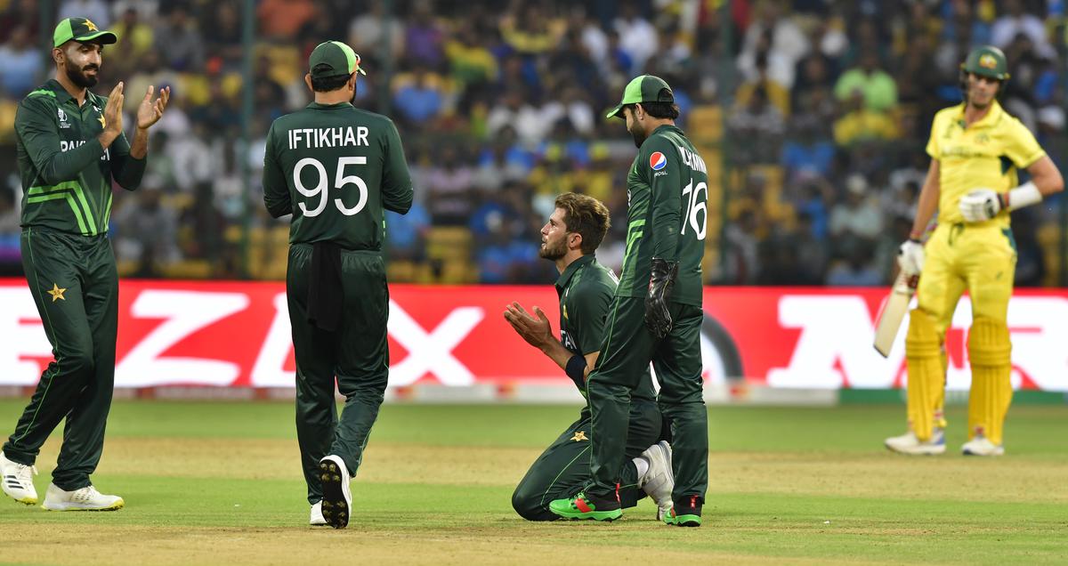 Shaheen Shah Afridi celebrates after taking the wicket of Australia’s Josh Hazlewood.