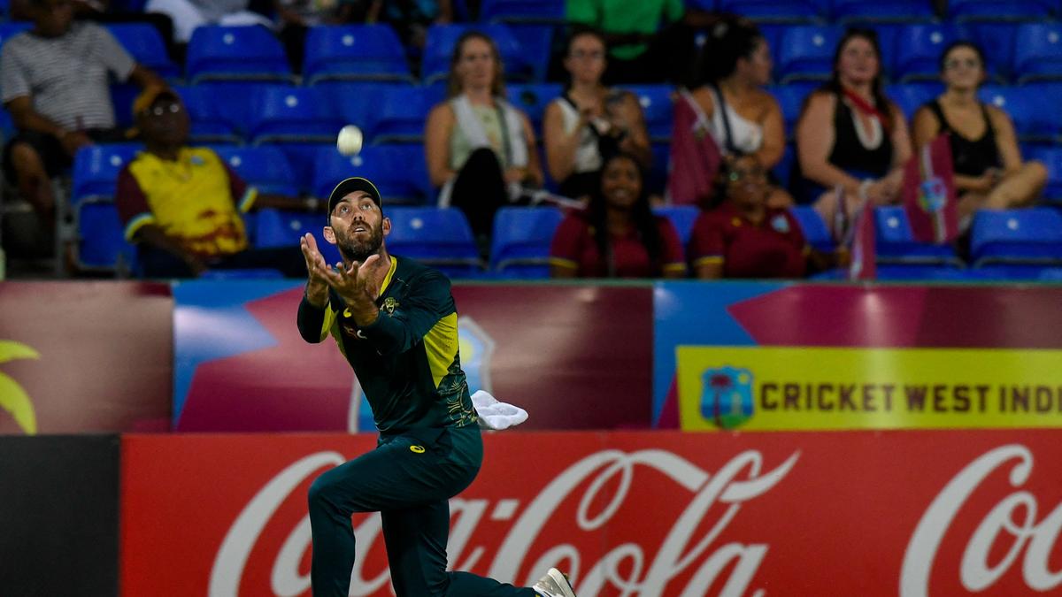 WATCH: Glenn Maxwell takes stunning catch at boundary to dismiss Ryan Rickelton
