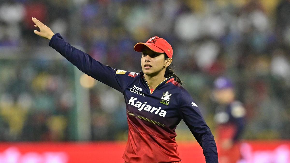 WPL 2026 Auction: Who has been the costliest pick each season?