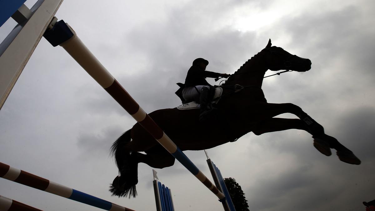 REPRESENTATIVE IMAGE: Young riders Anupati Navyashree Sai and Raju Singh emerged the best performers in the show jumping and dressage categories respectively. 