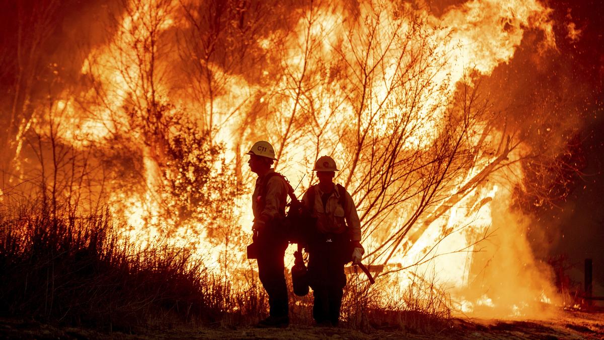 California Wildfires: Los Angeles Lakers vs Charlotte Hornets postponed due to catastrophic fire