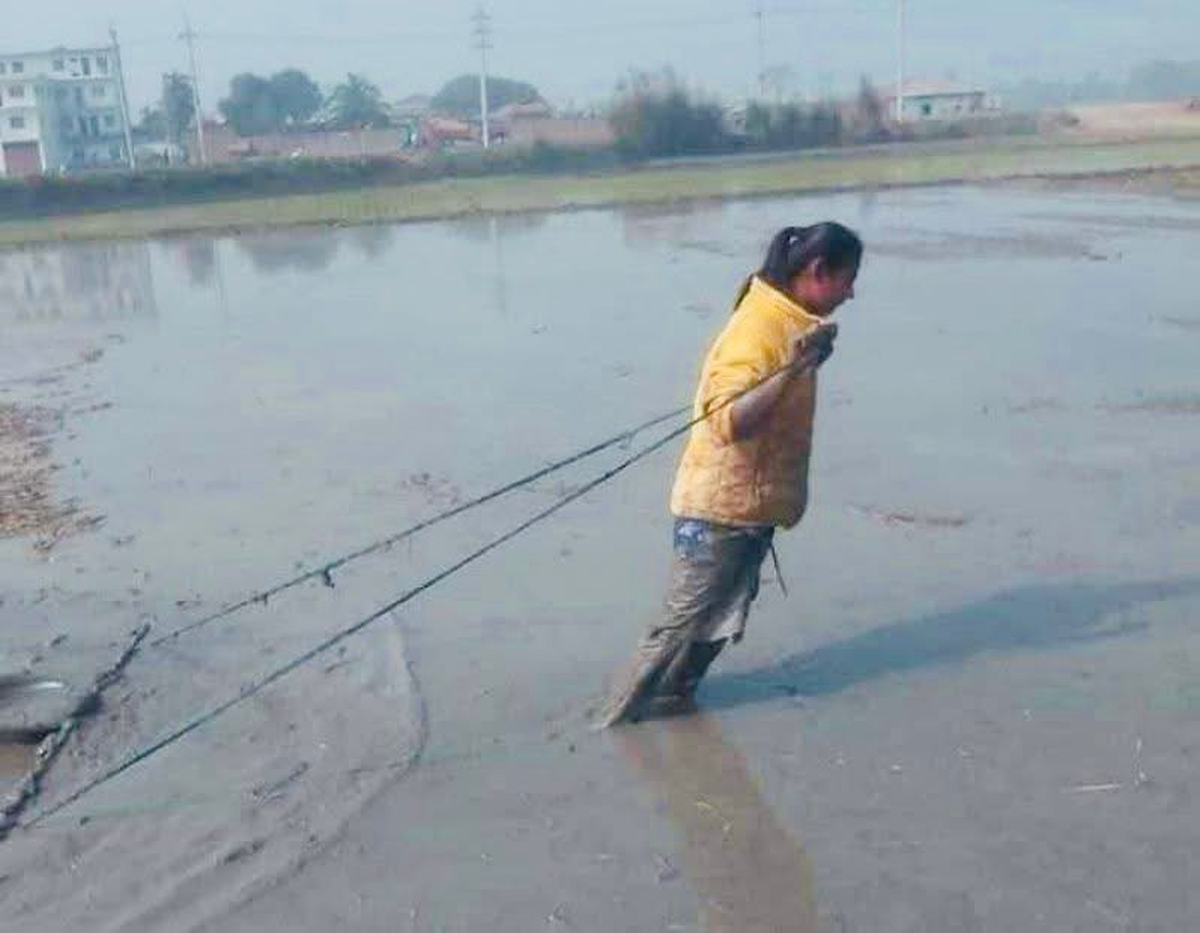 Rooted rise: Once she tilled the fields alongside her father. Now Marufa ploughs through batting line-ups with pace and swing.