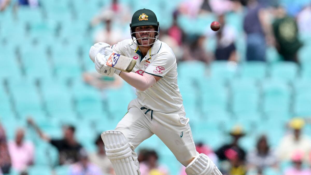 David Warner expresses coaching ambition in future