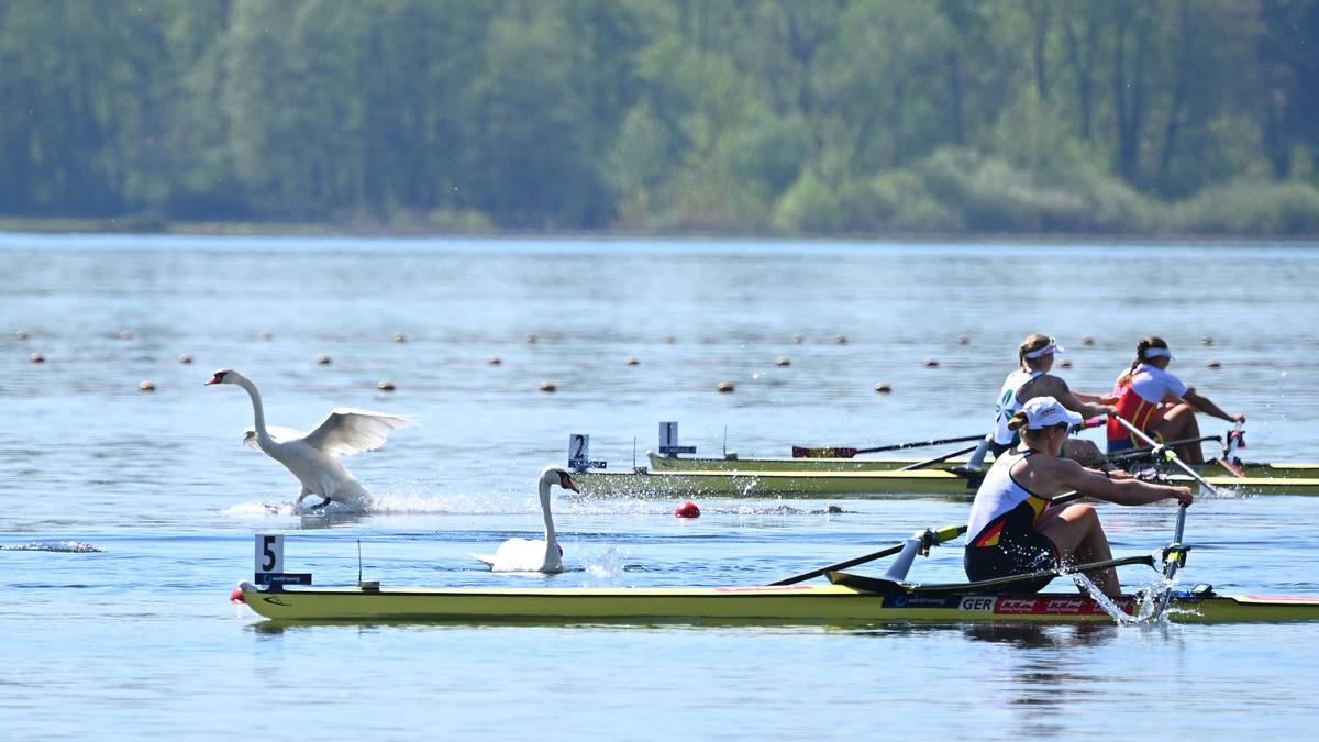 US Rowing probe: Abuse allegations against former Olympic rower, coach found to be credible