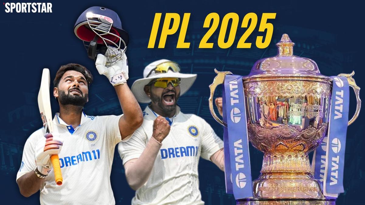 IPL 2025 Auction Review: Top buys, biggest multipliers, player distribution and more