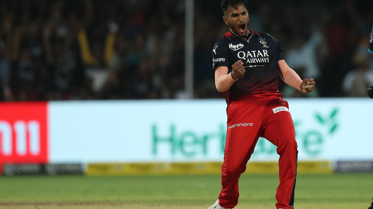 Who is RCB pacer Vijaykumar Vyshak who dismissed David Warner on IPL debut?