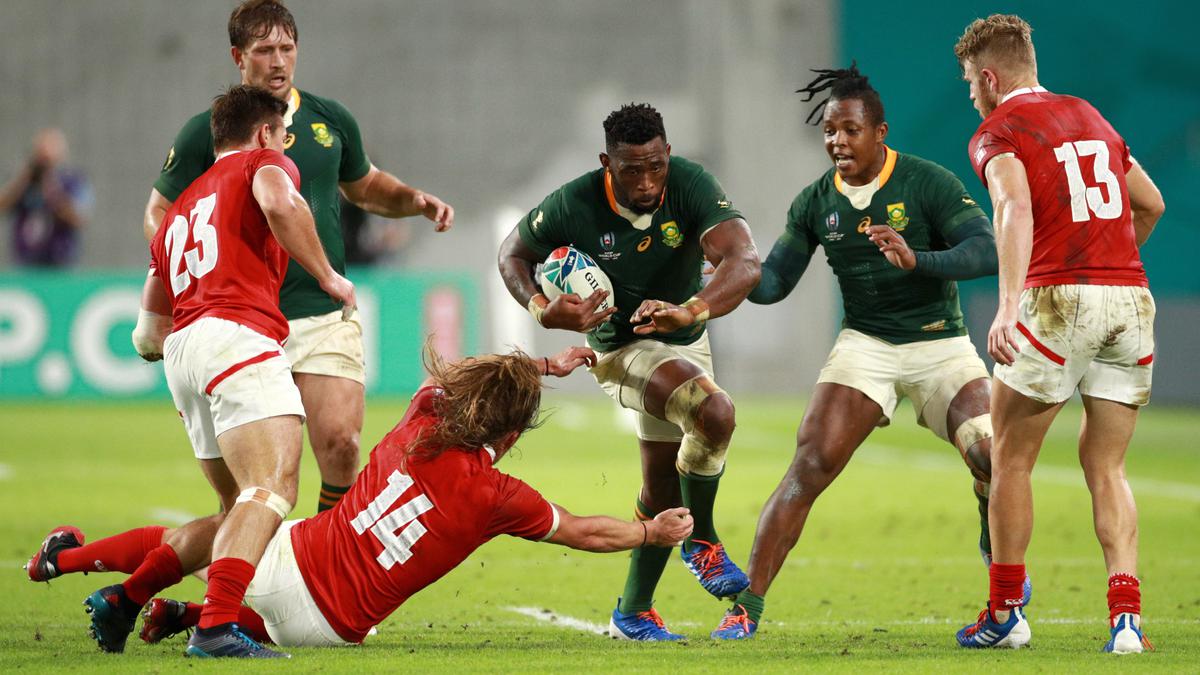 Rugby World Cup 2019: South Africa hammers Canada to make quarters ...