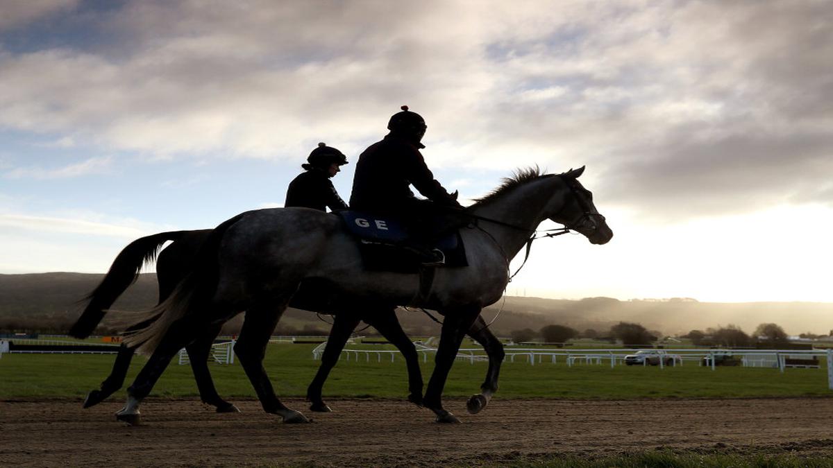 Cheltenham defends decision to race despite coronavirus fears