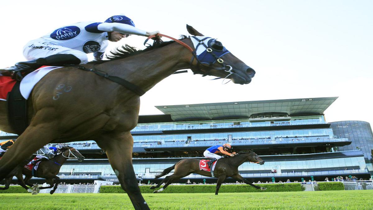 'It's quite eerie': Horses race on in Australia, Asia