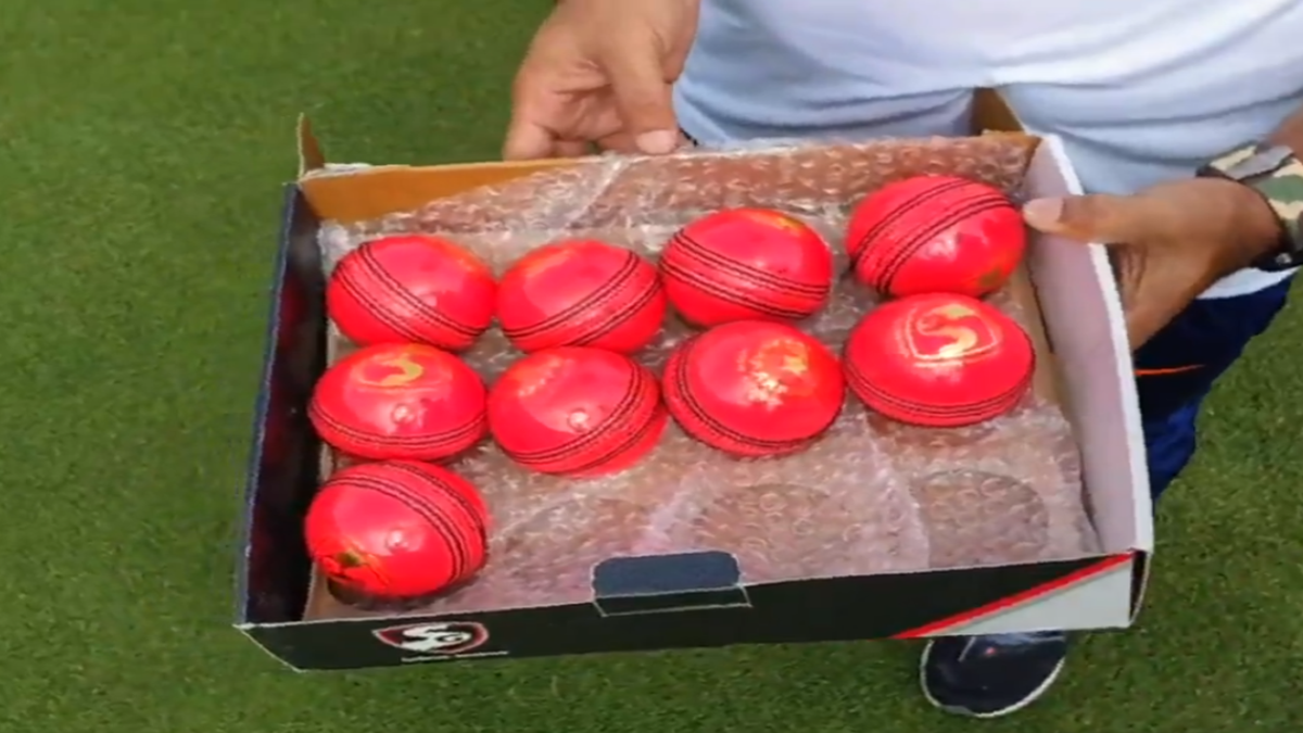 A look at the pink ball ahead of India-Bangladesh Day-Night Test